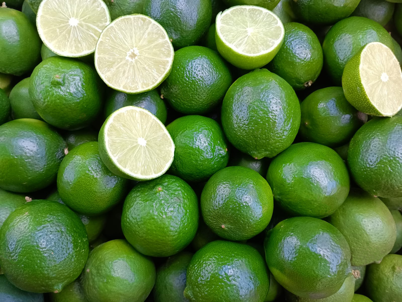 Limon Persa Retocado